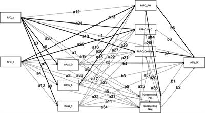 The relationship between parental mental health, reflective functioning coparenting and social emotional development in 0-3 year old children